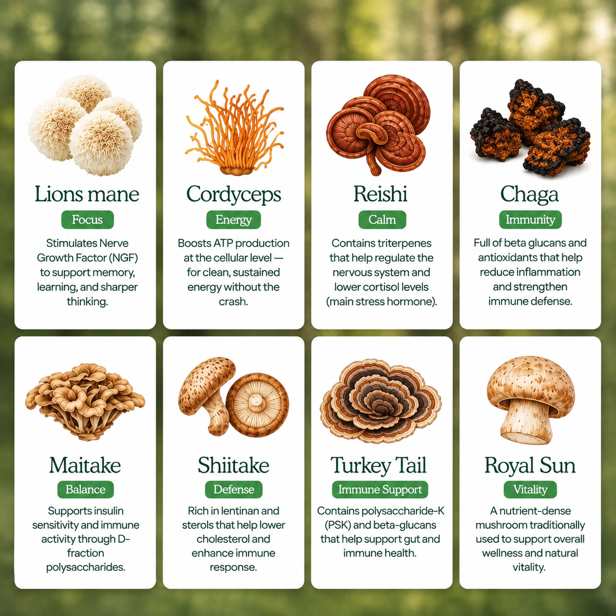 Mushroom Gummies